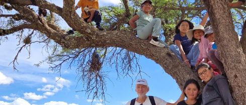 [Translate to English:] Kinder klettern in einem Baum